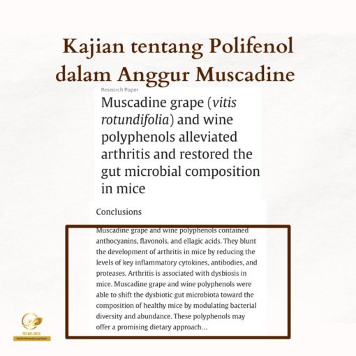 makanan melambatkan penuaan