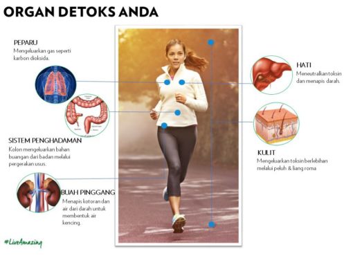 buang toksin dalam badan