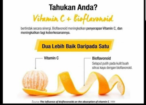 vitamin c terbaik 500mg
