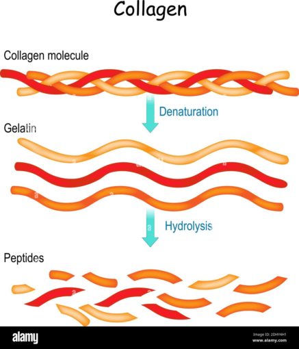 cara pilih collagen yang berkesan