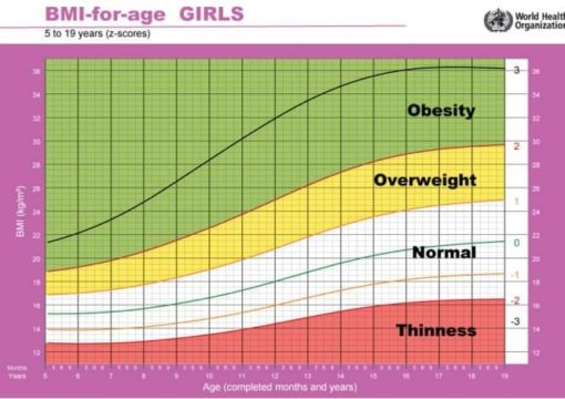 bmi anak perempuan