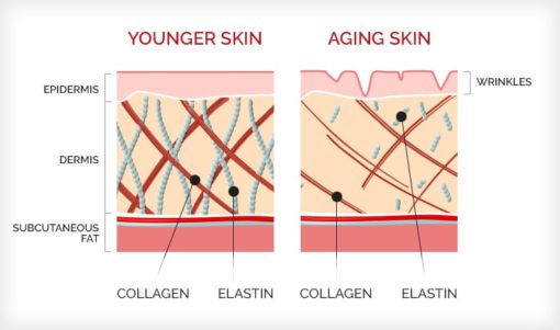 supplement collagen malaysia