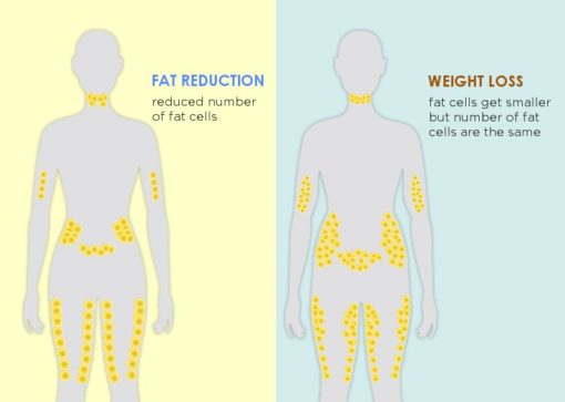 white tea fat loss white tea