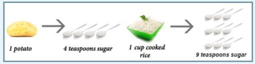nasi insulin resistance