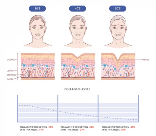 collagen kulit tegang