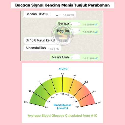 diet reverse penyakit