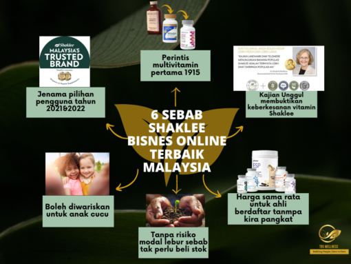 bisnes online terbaik