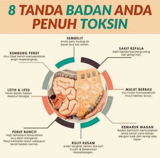 tanda badan banyak toksin