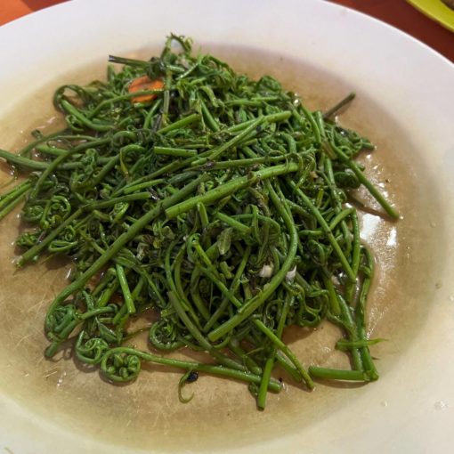 sayur midin