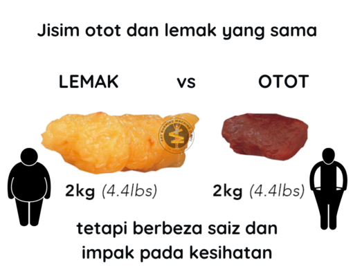 cara bakar lemak set kurus shaklee