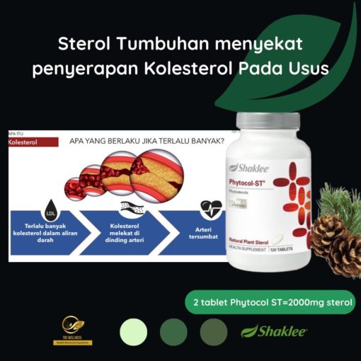 vitamin jantung turunkan kolesterol jahat