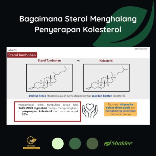 kolesterol jahat dalam darah cara turunkan kolesterol jahat