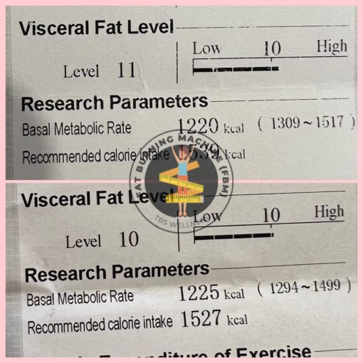 bahaya visceral fat cara hilangkan visceral fat