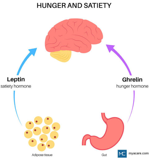 cara hilangkan craving hilangkan craving makanan manis