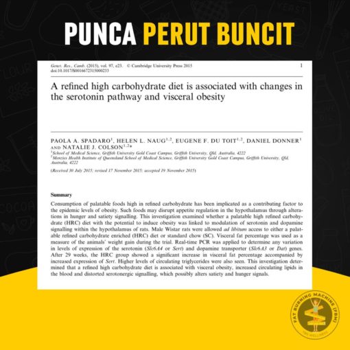 punca belly fat tepung gandum punca buncit