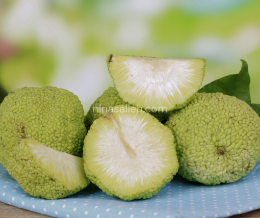 skincare malaysia lulus kkm skincare malaysia lulus kkm