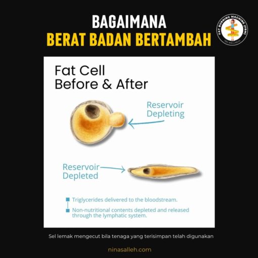 kecutkan sel lemak cara kurus dengan berkesan