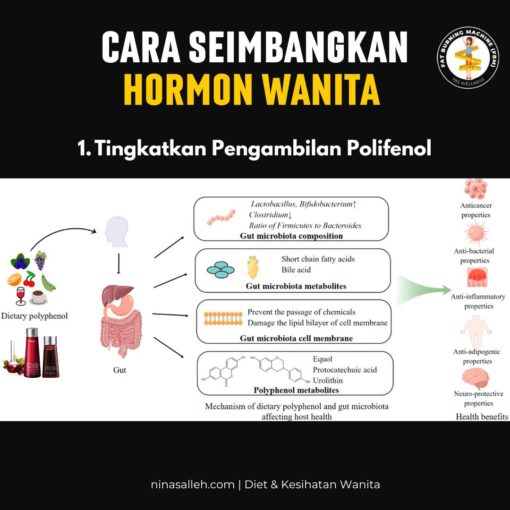testimoni vivix rawat pcos
