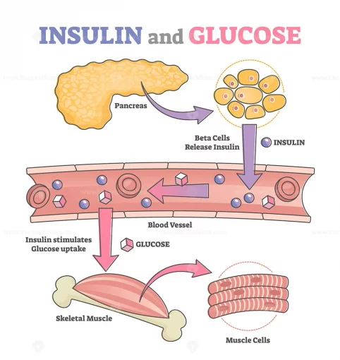 tanda badan insulin resistance tanda insulin resistance