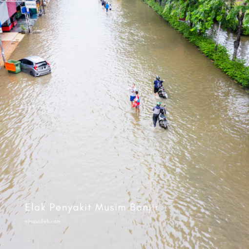 penyakit berjangkit waktu banjir