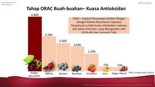 kelebihan anggur muscadine a ggur muscadine shaklee