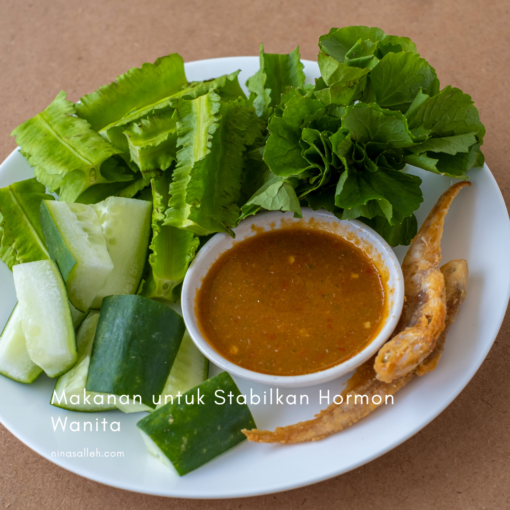 makanan untuk kesihatan usus fermented food