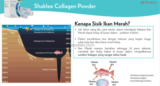 cara pilih sumber collagen sumber collagen shaklee