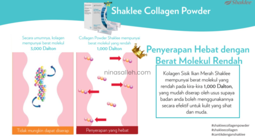 collagen plus pwder molecule size testimoni collagen shaklee