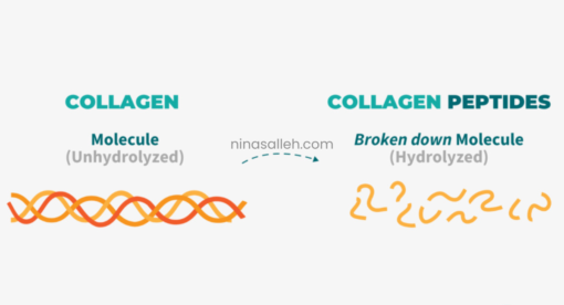 shaklee collagen peptide cara pilih kolagen