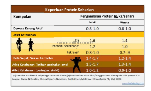 keperluan protein untuk badan sihat keperluan protein harian