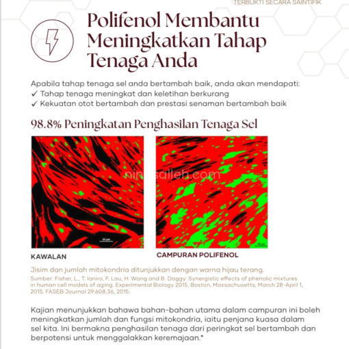 Vivix untuk tenaga