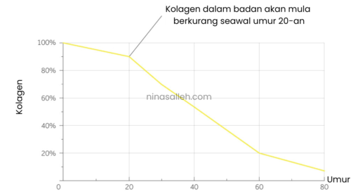 collagen dalam badan fungsi kolagen dalam badan