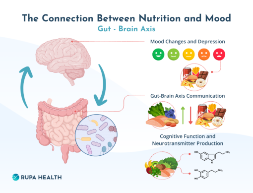 gut brain axis