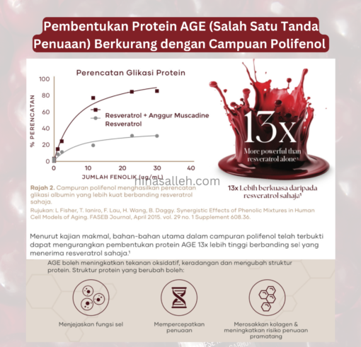 cara lambatkan penuaan