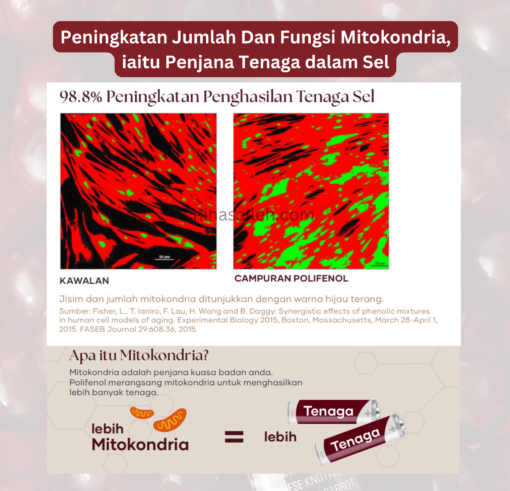 cara tambah tenaga
