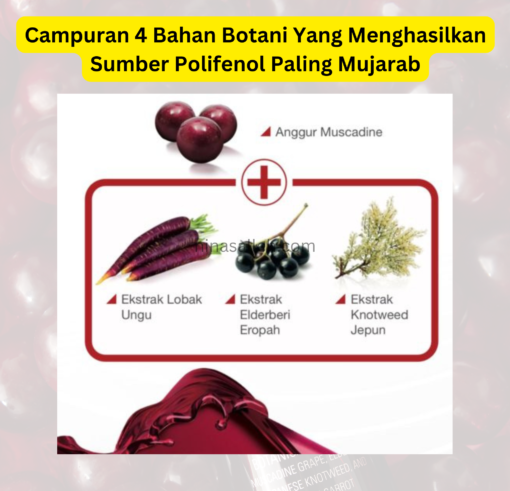 apa bestnya vivix shaklee