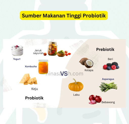 fungsi prebiotik dan probiotik sumber probiotik