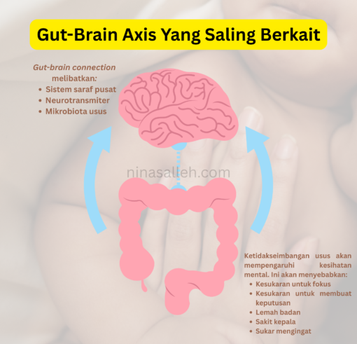 rawat usus dari pemakanan gut brain axis