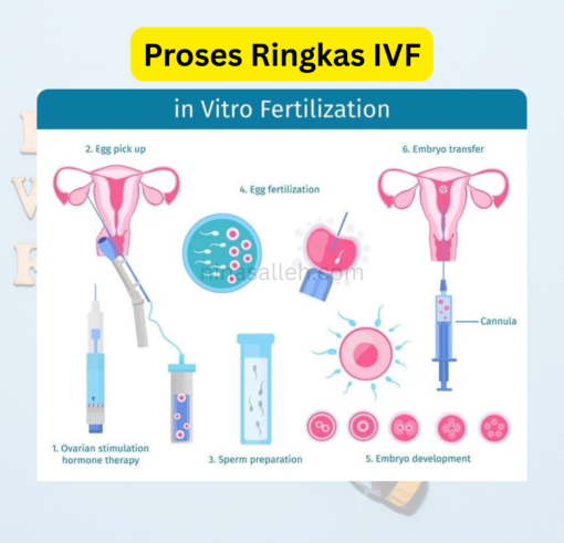 vitamin untuk ivf