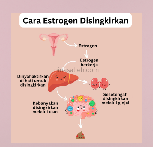elak fatty liver