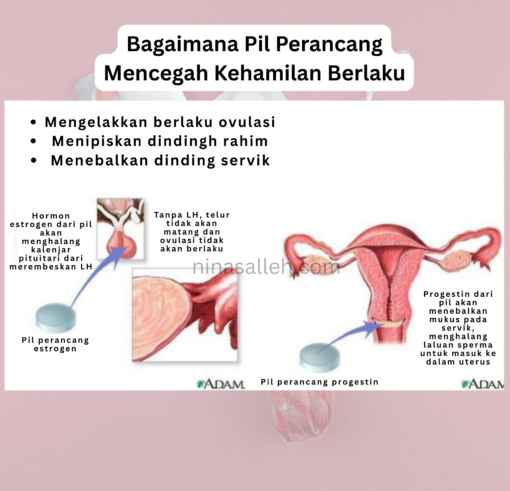 kesan buruk pil perancang 