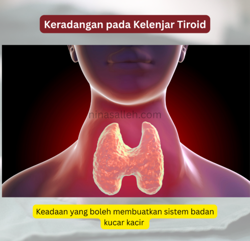 cara elak rambut gugur kalenjar tiroid bermasalah punca rambut gugur