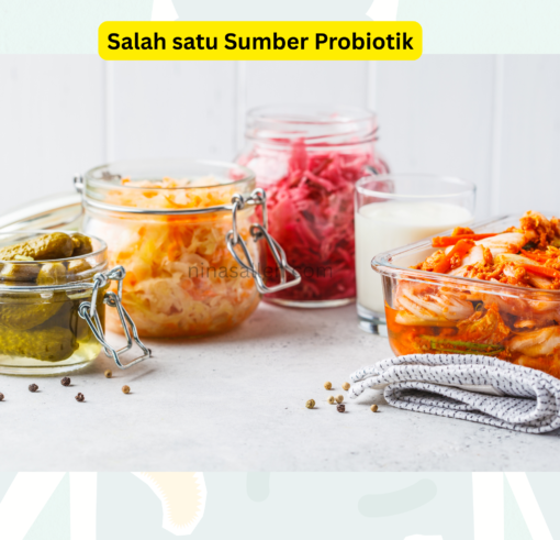 makanan tinggi probiotik Sumber probiotik