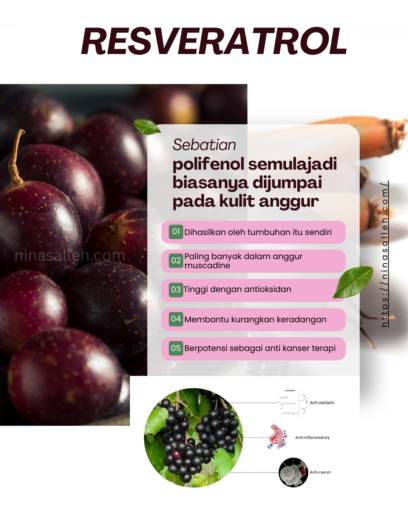 resveratrol untuk apa resveracel untuk apa