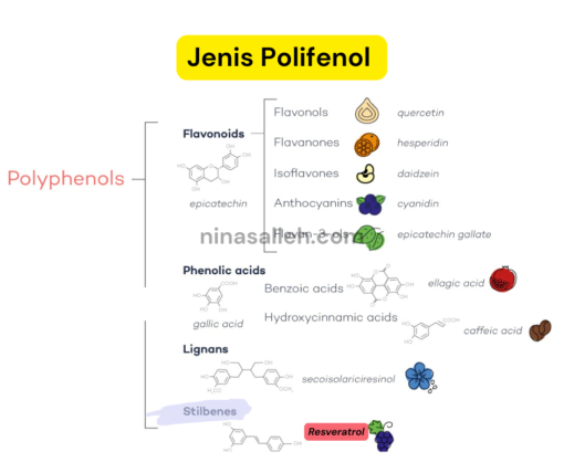 resveratrol untuk kesihatan
