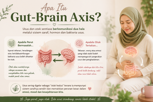 gut brain axis kenapa jantung berdebar