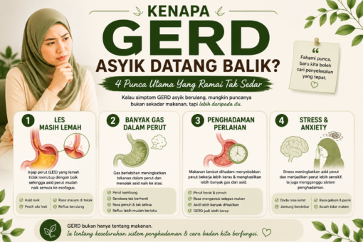punca gerd dan cara rawat reflux asid perut